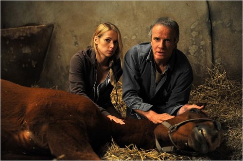 fleur-lise-heuet-christophe-lambert-jpg