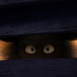 des-yeux-jpg