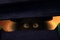 des-yeux-jpg