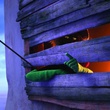 photo-du-film-le-lorax-jpg