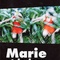 Affiche du film Marie et le loup - Marie et le loup 
