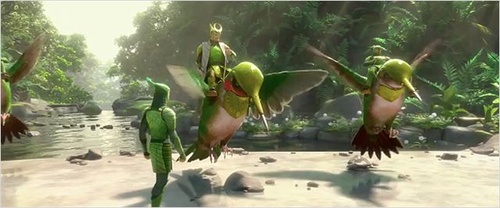 des-oiseaux-jpg