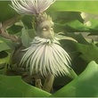 photo-du-film-epic-jpg