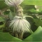 photo-du-film-epic-jpg - Epic : la bataille du royaume secret  