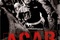 Affiche du film A.C.A.B (All Cops are bastards) 