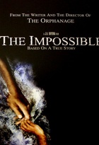 Affiche miniature du film The Impossible