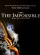 Affiche du film The Impossible 