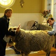 kris-marshall-kevin-bishop-jpg