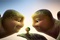 des-parents-tortues-et-leur-bebe-jpg
