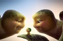 des-parents-tortues-et-leur-bebe-jpg