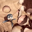 un-bebe-tortue-jpg
