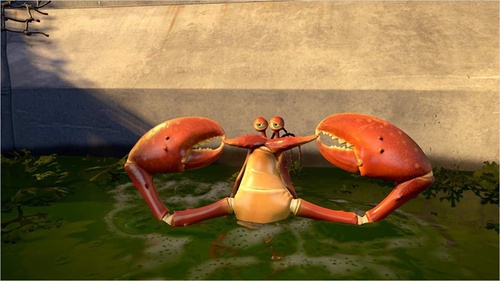 un-crabe-jpg