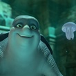 un-papa-tortue-jpg