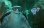 un-papa-tortue-jpg