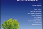 Affiche du film St Jacques ...La mecque
