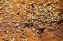 photo-du-film-tourbillon-jpg