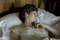 photo-4-du-film-madame-solario-jpg