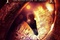 le-hobbit-la-desolation-de-smaug-jpg