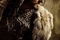 richard-armitage-desolation-of-smaug-jpg