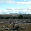 photo-7-du-film-el-puesto-jpg