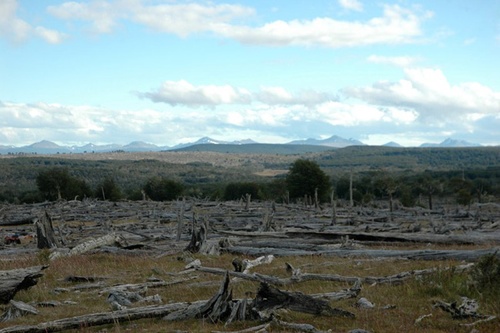 photo-7-du-film-el-puesto-jpg