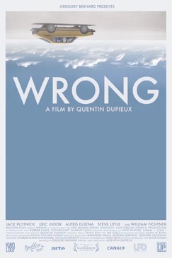 Affiche du film Wrong