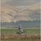 beautiful-valley-jpg - Beautiful Valley 