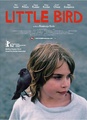 Little Bird