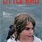 little-bird-jpg - Little Bird 