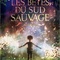Affiche du film Les Bêtes du sud sauvage  - Les Bêtes du sud sauvage 