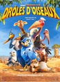 Drôles D'oiseaux