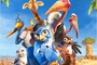 Affiche du film Drôles D'oiseaux 