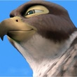droles-d-oiseaux1-jpg