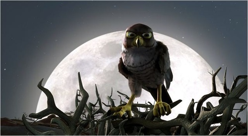 droles-d-oiseaux-jpg