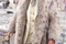 ma-vie-avec-liberace-matt-damon-jpg