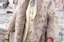 ma-vie-avec-liberace-matt-damon-jpg