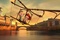 mr-peabody-3-jpg