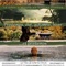 Affiche du film Printemps, été, automne, hiver ...et printemps - Printemps, été, automne, hiver ...et printemps 