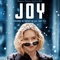 Affiche du film JOY  - JOY 