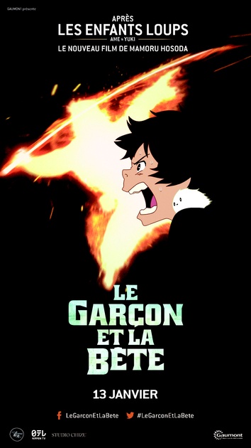le-garcon-et-la-bete-affiche-du-film-2-jpg