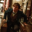 fantasticbeasts1-jpg