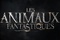 les-animaux-fantastiques-france-jpg