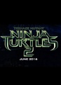 Ninja Turtles 2