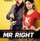 Affiche du film Mr.Right  - Mr.Right 