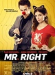 Affiche du film Mr.Right 