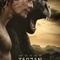 Affiche du film Tarzan  - Tarzan (2016) 