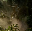 tarzan1-jpeg