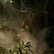 tarzan1-jpeg - Tarzan (2016) 