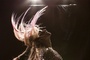 jem-photo4-jpg