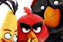 Affiche du film Angry Birds 